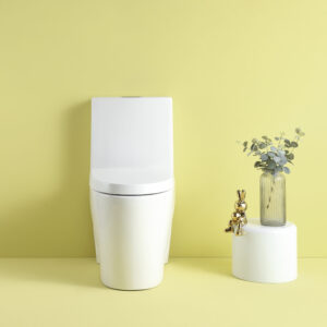 15 5/8 Inch 1.1/1.6 GPF Dual Flush 1-Piece Elongated Toilet with Soft-Close Seat - Gloss White 23T01-GW