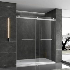 60 in. W x 76 in. H Double Sliding Frameless Shower Door in Stainless Steel Finish with Clear Glass