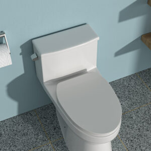 Ceramic One Piece Toilet,Single Flush with Soft Clsoing Seat