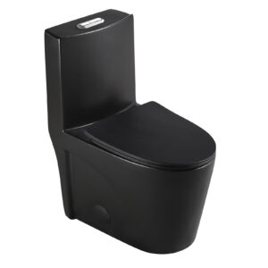 Dual Flush Elongated Standard One Piece Toilet with Comfortable Seat Height, Soft Close Seat Cover, High-Efficiency Supply, black Toilet