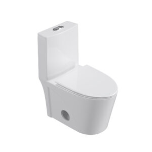 Dual Flush Elongated Standard One Piece Toilet with Comfortable Seat Height, Soft Close Seat Cover, High-Efficiency Supply, and White Finish Toilet Bowl (White Toilet)