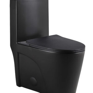 Elongated One-piece toilet