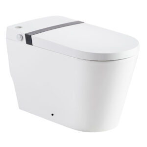 One Piece Smart Toilet with Auto-flush, Warm Water, Air Drying Function, Heated Seat, Remote Control