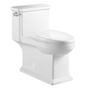 One-Piece Toilet