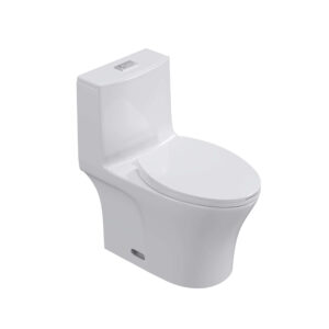 One-Piece Toilet 1.1GPF/1.6 GPF Siphon Jet Dual Flushing with Toilet Seat