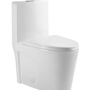 One-Piece Toilet