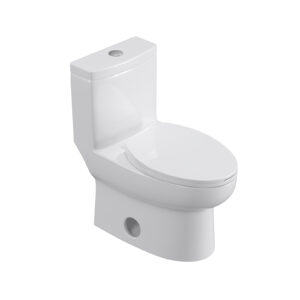 Powerful & Quiet Dual Flush Modern One Piece Toilet with Soft Closing Seat