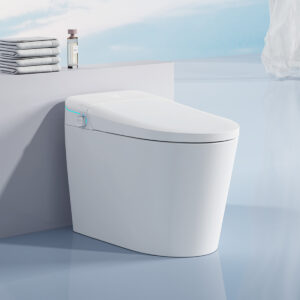 Smart Toilet with Auto Flush, Warm Water and Heated Seat, Modern Tankless Toilet with Remote Control